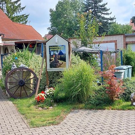 Ferienwohnung Gaensebluemchen Wartenburg Esterno foto