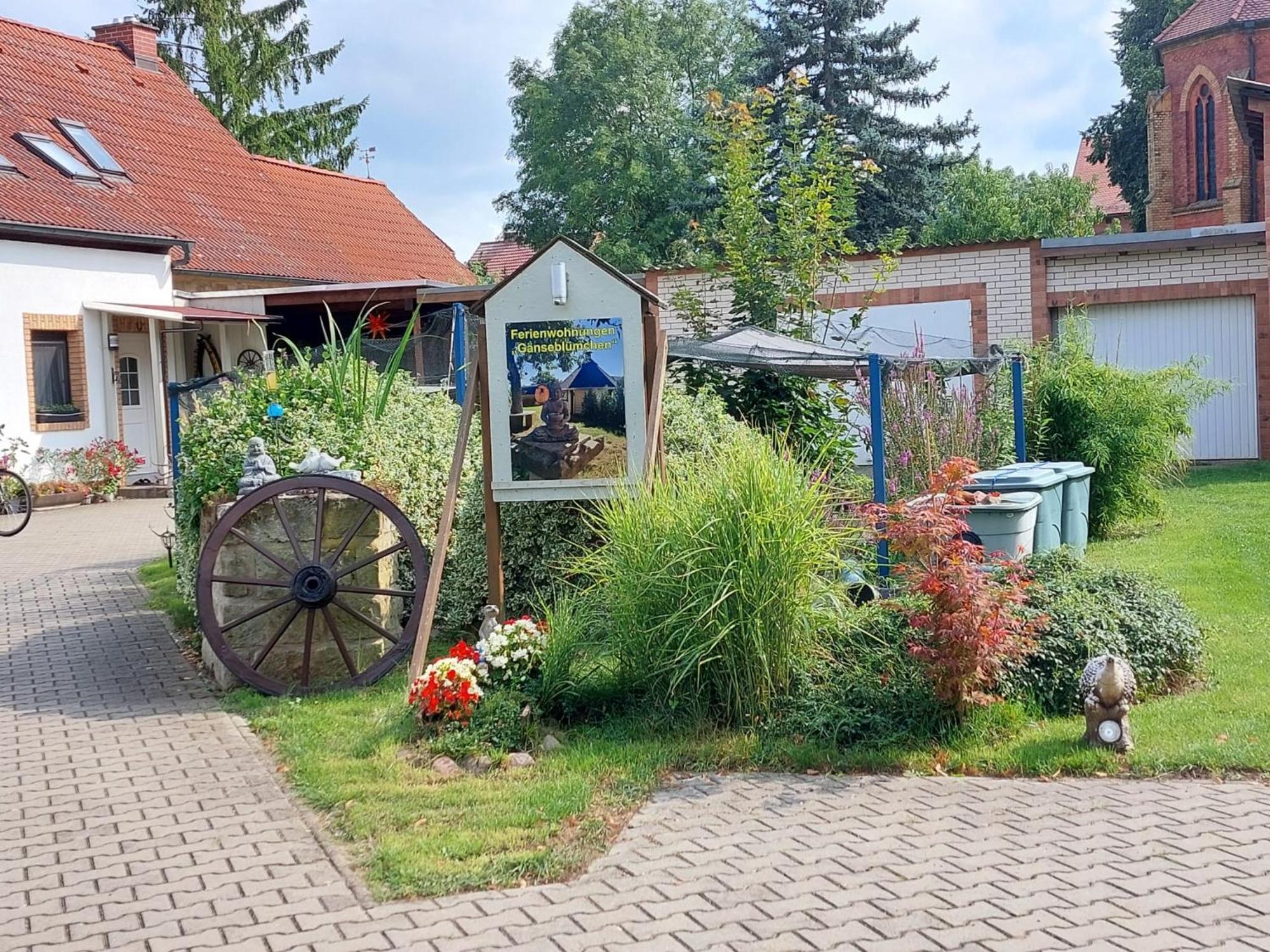 Ferienwohnung Gaensebluemchen Wartenburg Esterno foto